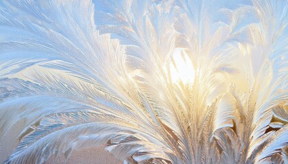 Poster - frosted windowpane pattern with radiant sunrise glow, natural icy feather motif, delicate texture, winter abstract background