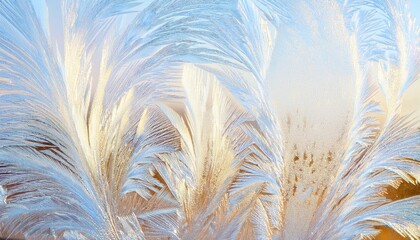 Poster - frosted windowpane pattern with radiant sunrise glow, natural icy feather motif, delicate texture, winter abstract background