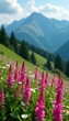 © box - Fireweed blooms dotting a rolling hillside with a blue mountain range, hills, wildflowers