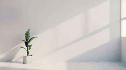 Aufkleber - A potted plant sits in a white room with a large window. The room is empty and the plant is the only object in the space. AI generated.