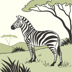 Poster - zebra in the grass