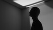 © Konstiantyn Zap - Silhouette of person in shadowy room under bright light beam