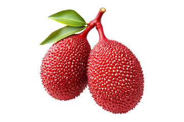 Wall Mural - Fresh lychees or salak with textured red skin and a green leaf, isolated on white transparent background, representing tropical fruit freshness