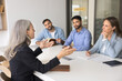 © fizkes - Mature businesswoman hold negotiation with company shareholders. Diverse staff members participate in seminar, briefing event conduct by experienced female boss, sharing upcoming projects or strategy