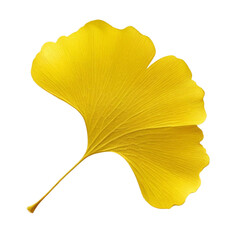 Fresh green leaf isolated