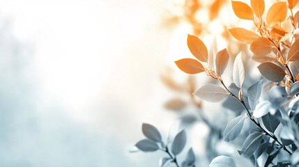 Poster - Sunlight is illuminating autumn leaves creating warm colors and pastel tones
