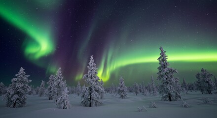 A serene tundra landscape with frost-covered trees shimmering under the aurora borealis