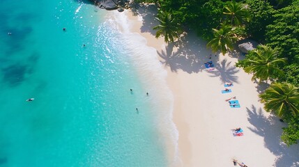 Wall Mural - Aerial view of a serene beach with turquoise waters and sunbathers