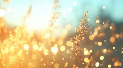 Wall Mural - warm golden light casts a serene glow on gently swaying grasses, creating a peaceful atmosphere duri