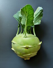 Wall Mural - A single kohlrabi with vibrant green leaves sits on a dark gray background.