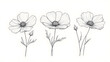 © wikanda - Horizontal trio of wildflowers, basic minimalist line drawing with soft strokes