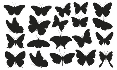 Wall Mural - Black butterflies on white background. Vector set. Isolated butterfly silhouettes collection