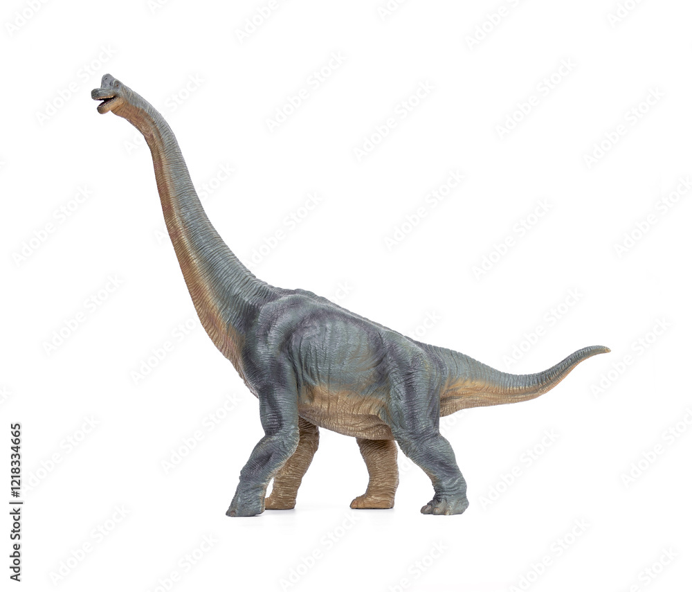 Dinosaur long necked Brachiosaurus name is sauropod herbivore in the