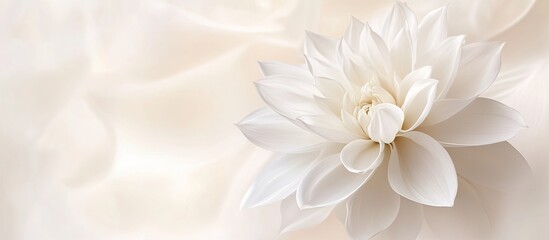 Aufkleber - Delicate white flower positioned centrally against a soft beige background highlighting its elegant petals and serene beauty in nature.