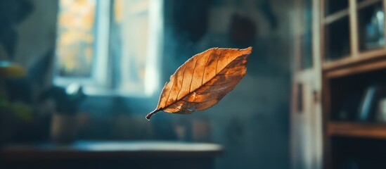 Poster - Suspended dry peach leaf captured in warm orange and brown hues against a softly blurred background featuring natural light from a window.