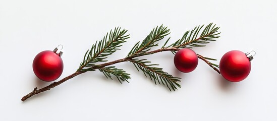Poster - Christmas tree branch with three shiny red baubles nestled among green needles on a white background, enhancing festive holiday decor.