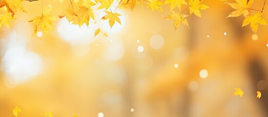 Poster - Bright golden autumn maple leaves falling from the top with a soft blurred background of warm hues creating tranquil abstract space on the right