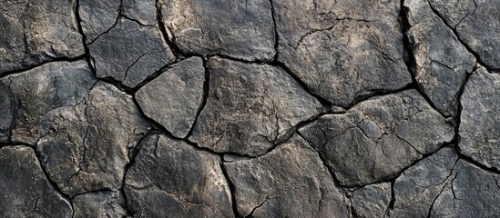 Wall Mural - Textured basalt rock surface with dark gray tones and distinct cracks and fissures creating a natural and rugged geological pattern