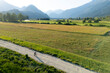 © Cavan Images - Cyclist riding a dirt trail in a peaceful rural setting with nature