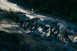 © Cavan Images - Cyclist on a gravel road winding through a dense forest with shadows