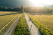 © Cavan Images - Biker on a gravel road in a sunlit rural landscape by mountains