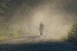 © Cavan Images - Solo biker on a dirt trail in a forest, with blowing dust
