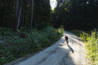 © Cavan Images - Biking through a forest road, blending endurance, adventure