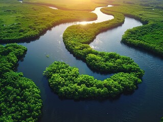 Poster - Lush Mangrove Forest with Winding River and Kayak at Golden Hour