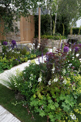Wall Mural - Detail of Purple and White flower border