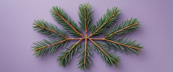 Wall Mural - Pine tree needles arranged in radial symmetry on a plain pale lavender background