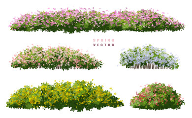 Fototapete - set of grass, Vector of tree or blooming  side view isolated on white background ,watercolor tree elevation for landscape concept,environment scene,eco design,blossom garden for spring