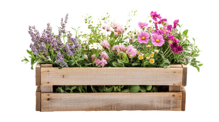 Wall Mural - Bouquet colorful spring flowers in basket on transparent background