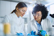 © Goran - Female scientist talking while working on scientific research in laboratory.
