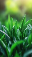 Wall Mural - Close-up of vibrant green grass blades glistening in sunlight, evoking a sense of freshness and nature.