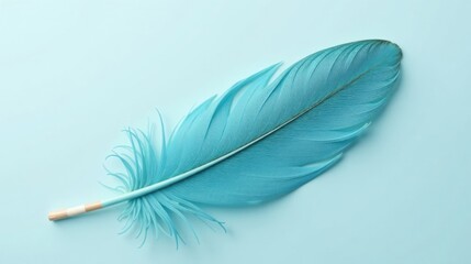 Poster - A single, light blue feather rests gently on a pale blue background, showcasing its delicate texture and vibrant hue, a symbol of lightness and freedom