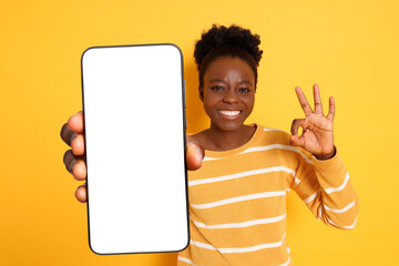 Happy woman showing mobile phone with blank screen and gesture ok on orange background. Mockup for design