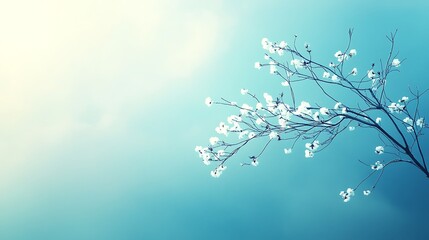 white blossoms on a branch against a blue sky