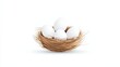 © Chano_1_na - White Eggs Nestled in a Natural Woven Basket on a Light Background for Culinary Use