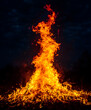© silver - Beautiful vertical shot of a large burning fire