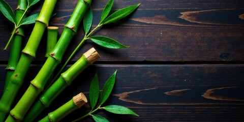 Aufkleber - Fresh Green Bamboo Stalks and Lush Foliage Arranged on Dark Wooden Surface