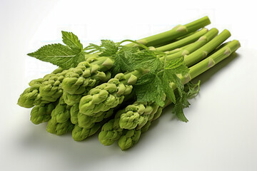 Fresh green asparagus spears with vibrant mint leaves