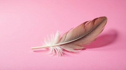 Poster - A single soft feather rests gently on a pale pink surface, showcasing its delicate structure and subtle color variations