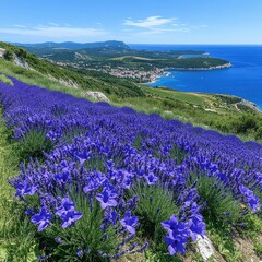 Poster - Stunning Lavender Fields Overlooking Scenic Coastal Landscape - Breathtaking Nature Views of Purple Blooms in Full Bloom Next to Blue Ocean Horizon and Sky