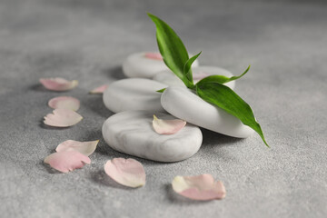 Wall Mural - Spa stones, petals and green leaves on grey table, closeup