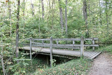 Wall Mural - The old wood bridge on the trail in the forest.