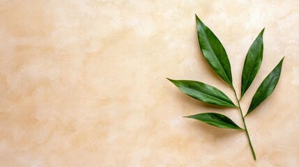 Poster - A single green leaf on a beige background