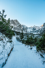 Wall Mural - Hike on the green lake in the High Tatras in winter. Zelene pleso