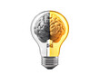 © Paula - Isolated Light Bulb with Brain Halves
