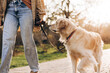 © Maria Vitkovska - Woman walking golden retriever dog in park during sunset