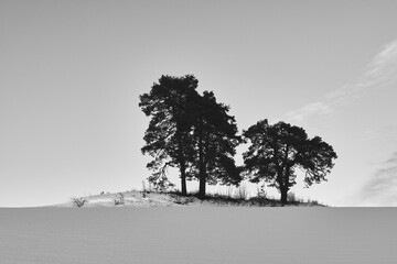 Wall Mural - The cultural landscape of Toten, Norway, a day in January 2025.